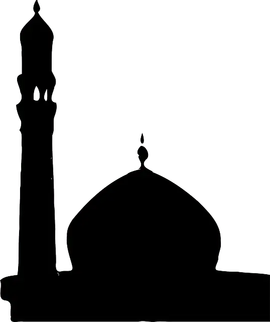 UNKNOWN FACTS ABOUT TAJMAHAL black taj mahal